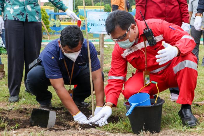Dukung Upaya Pemkot Hijaukan Kota Dumai, Pertamina Serahkan 1.000 Bibit Pohon Tabebuya