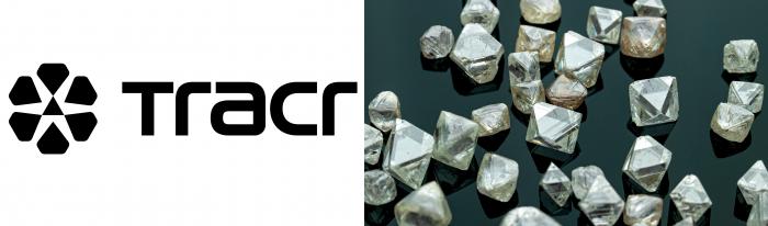 Investment by leading industry institute supports Tracr's evolution to becoming an independent, industry-wide platform for natural diamond provenance