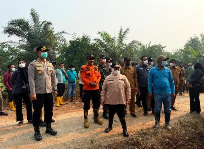 Bupati Bengkalis Turun Langsung Padamkan Karhutla di Sungai Meranti
